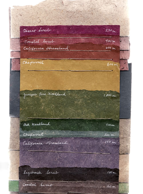 phytopaper
